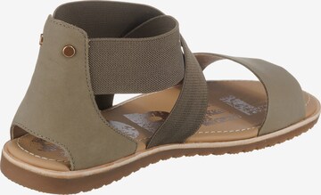 SOREL Sandalen met riem 'Ella' in Grijs