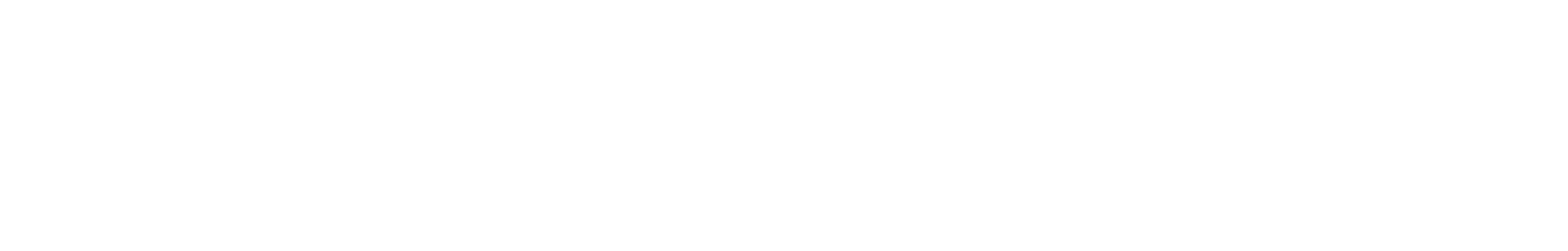 Brunotti Logo