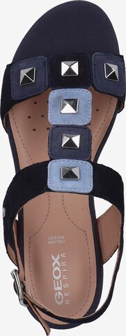 GEOX Sandalen met riem in Blauw