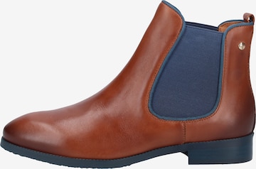 PIKOLINOS Chelsea Boots 'Royal' in Brown