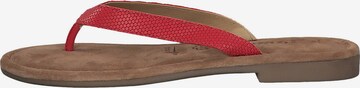 TAMARIS Teenslipper in Rood