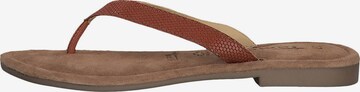 Tongs TAMARIS en marron