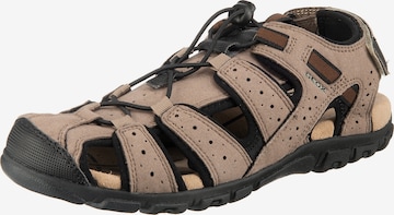 GEOX Hiking Sandals 'S.Strada' in Brown: front