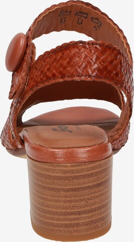 SIOUX Sandals 'Rosibel' in Brown