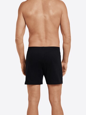 SCHIESSER Regular Boxer shorts in Grey: back