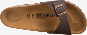 BIRKENSTOCK Mules 'Madrid' in Brown