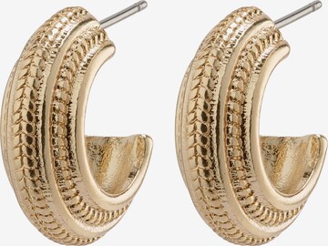 Pilgrim Earrings 'Macie' in Gold: predná strana