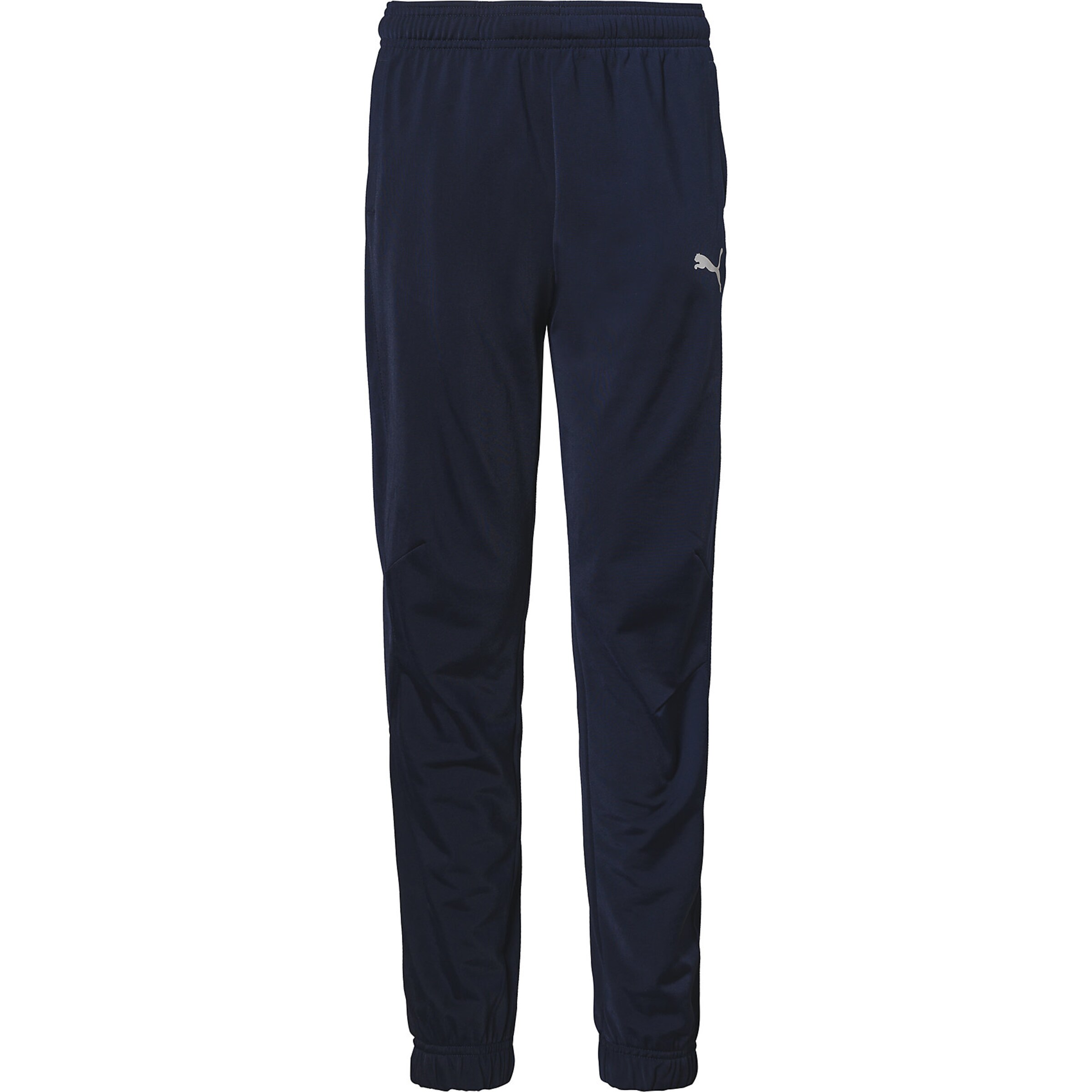 PUMA Tapered Workout Pants 'Liga Sideline Poly' in Blue: front