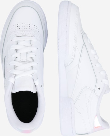 Baskets basses Reebok en blanc