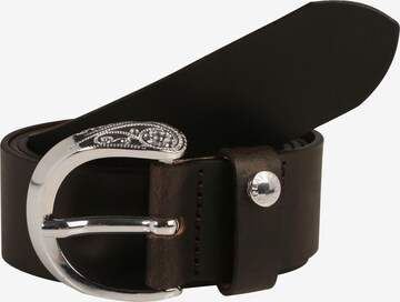 Ceinture REPLAY en marron : devant