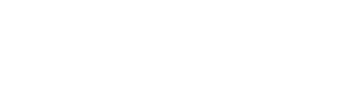 BRONX Logo