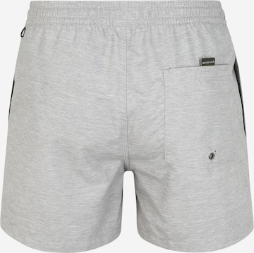 QUIKSILVER Regular Board Shorts 'EVDAYVL15 M JAMV GCZ0' in Grey