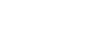 BOYSEN'S Logo