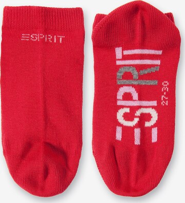 ESPRIT Sokken in Rood