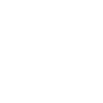 BRAVE SOUL Logo
