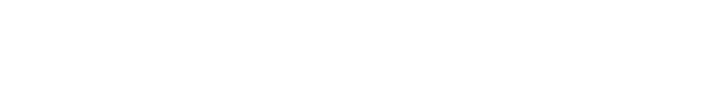 The Bridge Logo