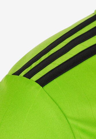 Maglia funzionale 'Tabela 18' di ADIDAS PERFORMANCE in verde