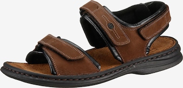 JOSEF SEIBEL Sandals 'Rafe' in Brown: front