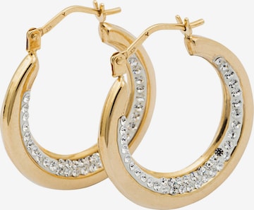 FIRETTI Earrings in Gold: front