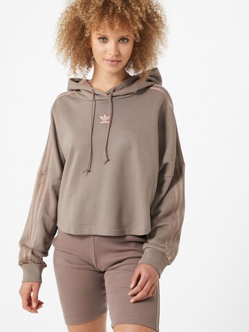 ADIDAS ORIGINALS Mikina - Hnedá: predná strana