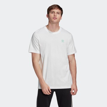 Coupe regular T-Shirt ADIDAS ORIGINALS en blanc : devant