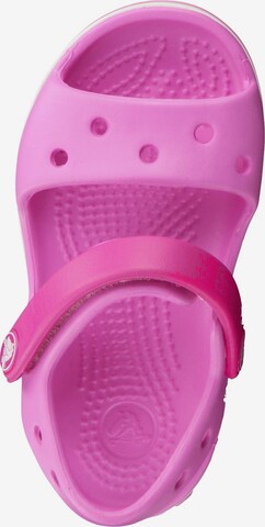 Crocs Sandale 'Crocband' in Pink