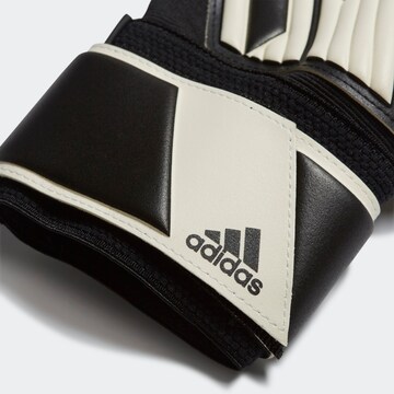 ADIDAS SPORTSWEAR Athletic Gloves in White