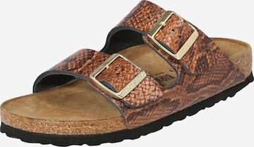 BIRKENSTOCK Pantolette 'Arizona' in Braun: predná strana