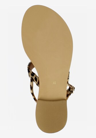 EVITA T-Bar Sandals 'OLIMPIA' in Mixed colors