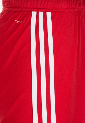 ADIDAS SPORTSWEAR Regular Shorts 'Regista 18' in Rot