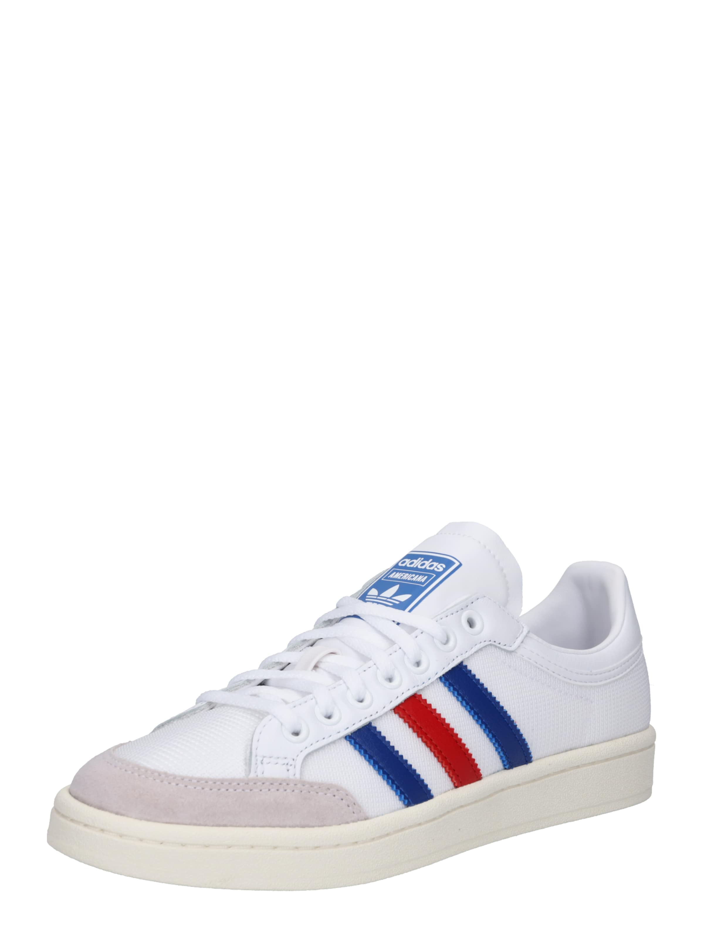 americana basse adidas