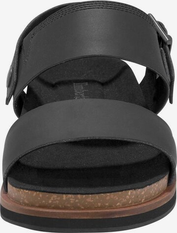 TIMBERLAND Sandals in Black