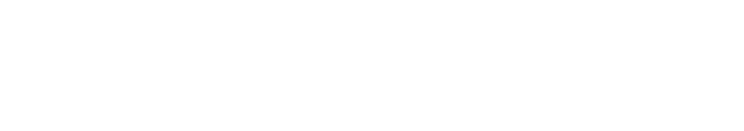 CARVELA by Kurt Geiger Logo