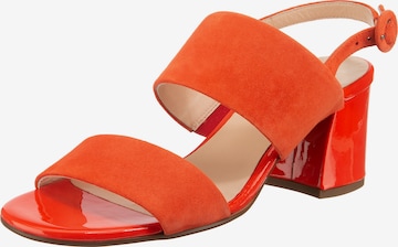 Högl Sandalette in Orange: predná strana