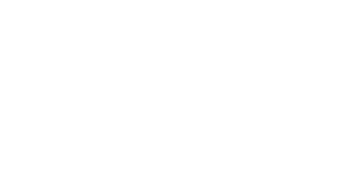 LEVI'S ® Logo