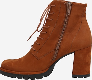 Paul Green Lace-Up Ankle Boots in Brown