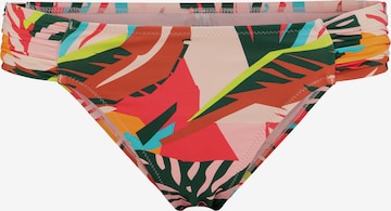 Shiwi - Regular Cueca biquíni 'Frangipani' em mistura de cores: frente