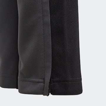 ADIDAS PERFORMANCE Regular Sporthose 'Tan' in Grau