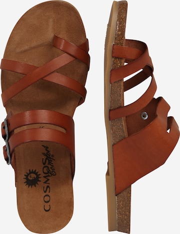 COSMOS COMFORT T-bar sandals in Brown