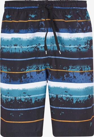 Jan Vanderstorm Board Shorts 'Ansten' in Blue: front