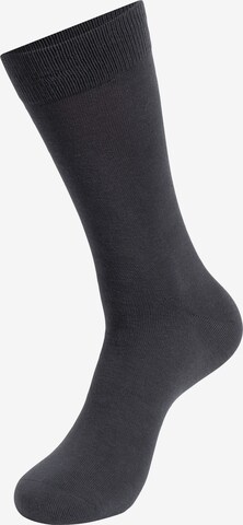 INDICODE JEANS Socks 'Bethwin' in Mixed colors