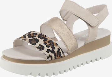 GABOR Sandals in Grey: front