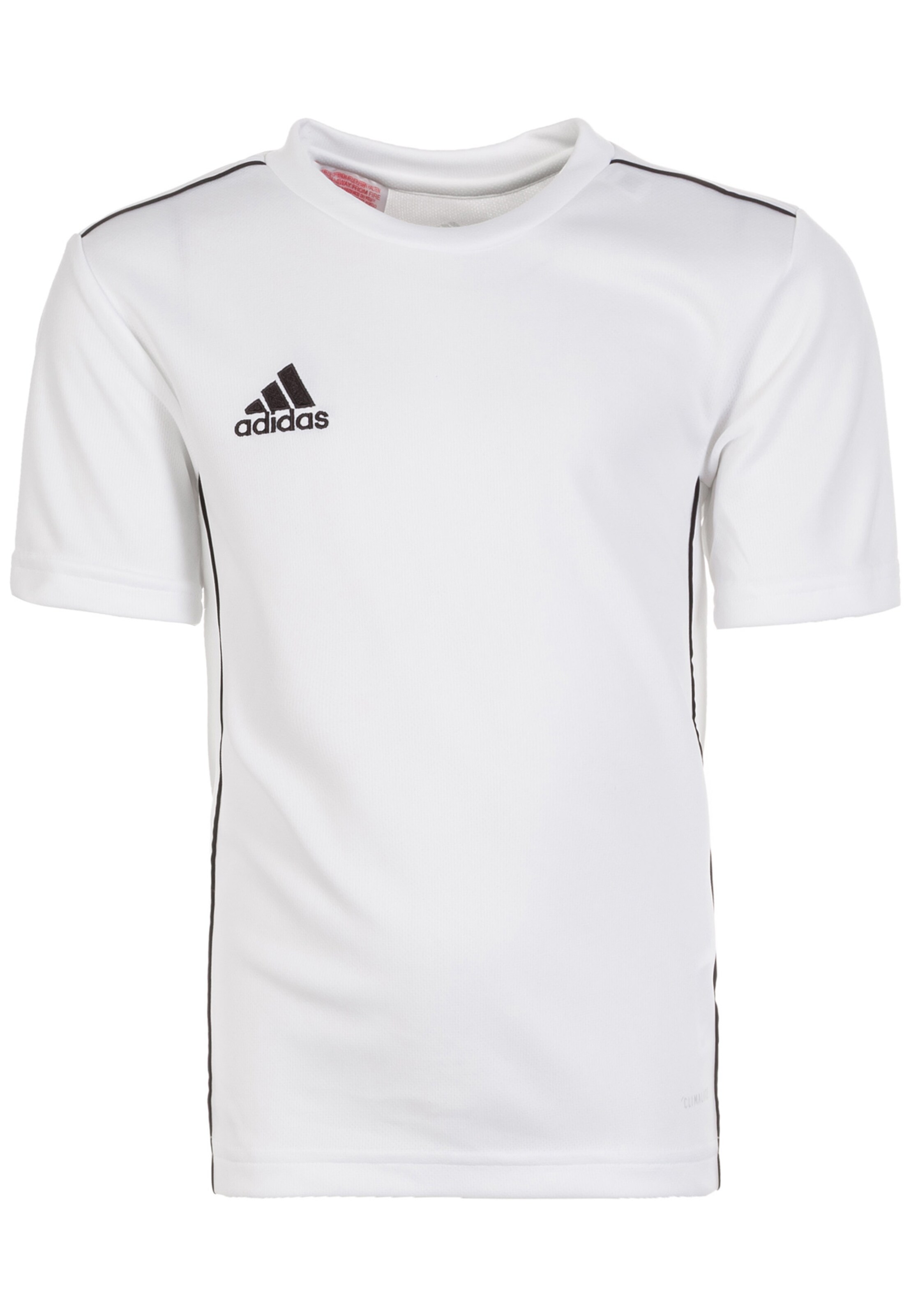 ADIDAS PERFORMANCE Performance Shirt 'Core 18' in White: front