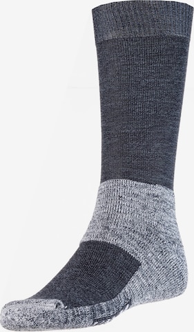 ROHNER Athletic Socks 'Fibre Tech' in Blue: front