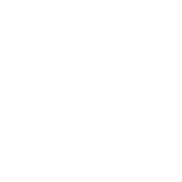 Boccia Titanium Logo