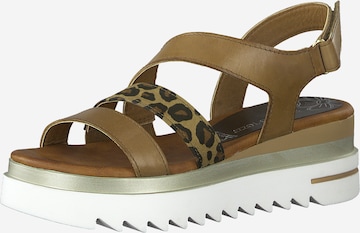 MARCO TOZZI Strap Sandals in Brown: front