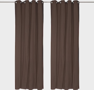 TOM TAILOR Curtains & Drapes in Brown: front