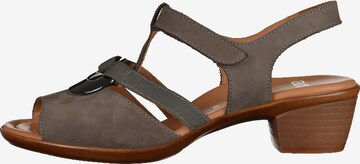 ARA Strap Sandals in Grey