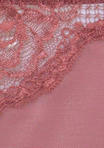 LASCANA Slip in Roze