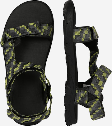 Sandales 'Seven Seas' JACK WOLFSKIN en vert